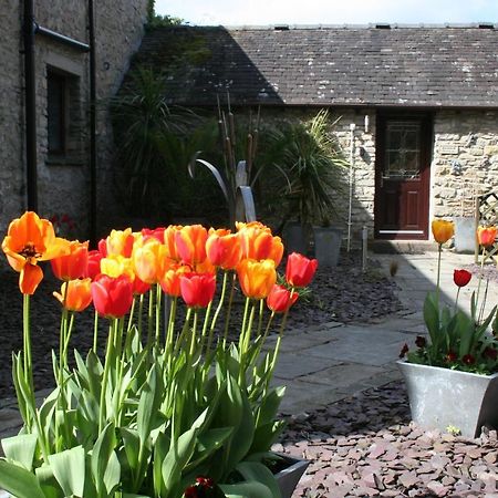 Birslack Grange Kendal Ngoại thất bức ảnh