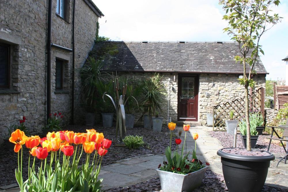Birslack Grange Kendal Ngoại thất bức ảnh